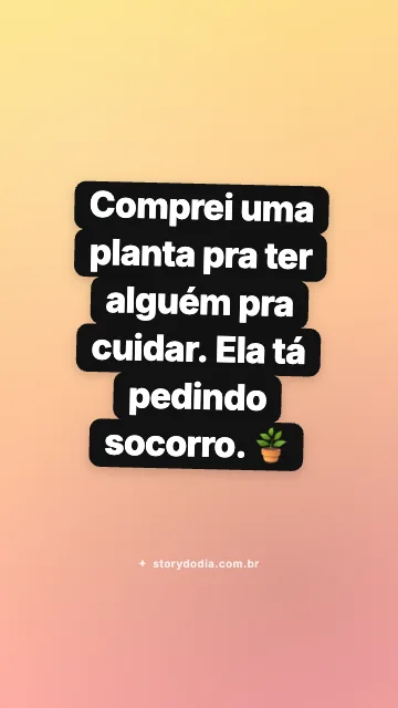 Comprei uma planta pra ter alguém pra cuidar. Ela tá pedindo socorro. 🪴