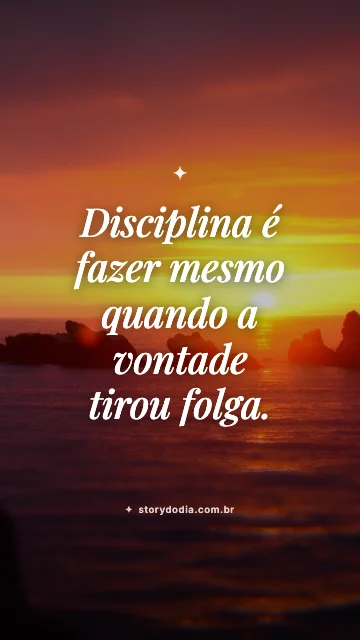 Disciplina é fazer mesmo quando a vontade tirou folga.