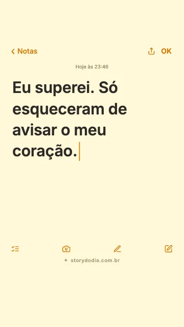 Eu superei. Só esqueceram de avisar o meu coração.
