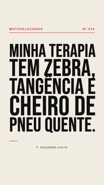 Minha terapia tem zebra, tangência e cheiro de pneu quente.